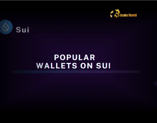 Unlock Seamless dApp Access: Dynamic Wallet Now Supports Sui Blockchain