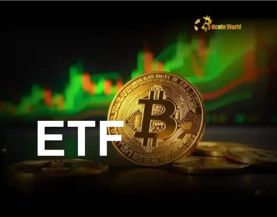 Unlocking Bitcoin Price Stability: How ETFs Are Emerging as Market Shields
