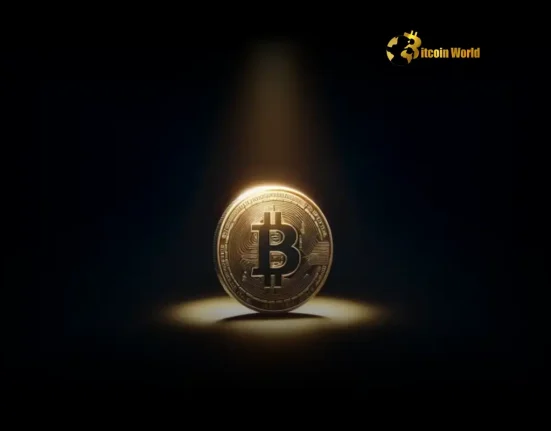 Unlocking Bitcoin's Resilience: Navigating Volatility as a Powerful Long-Term Hedge