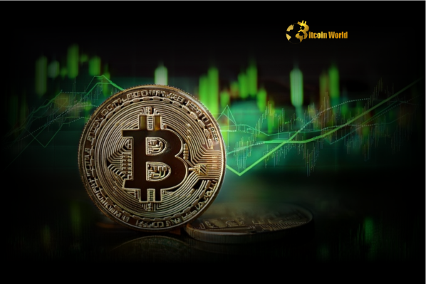 Unlocking Bullish Signals: Bitcoin Permanent Holder Demand Surges