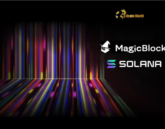 Unlocking the Future MagicBlock Raises $7.5M to Power On-Chain Games on Solana