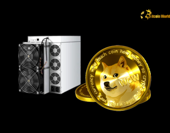 Unprecedented Surge: Doge Mining Rig Orders Explode for Intchains in 2024