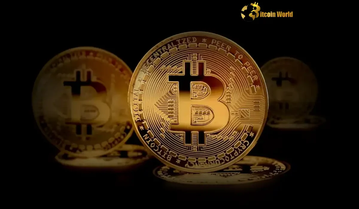 Unshaken Bitcoin Fundamentals Expert Reassures Amid Market Volatility