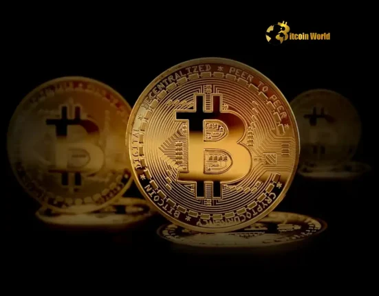 Unshaken Bitcoin Fundamentals Expert Reassures Amid Market Volatility