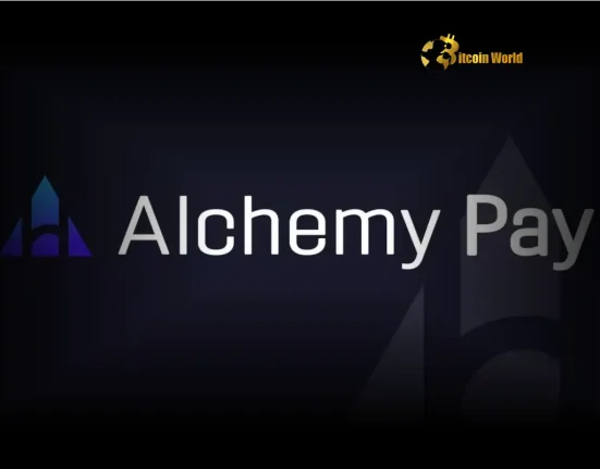 Unveiling Alchemy Pay's Ambitious Plan: Alchemy Chain Targets Stablecoin Payments Future