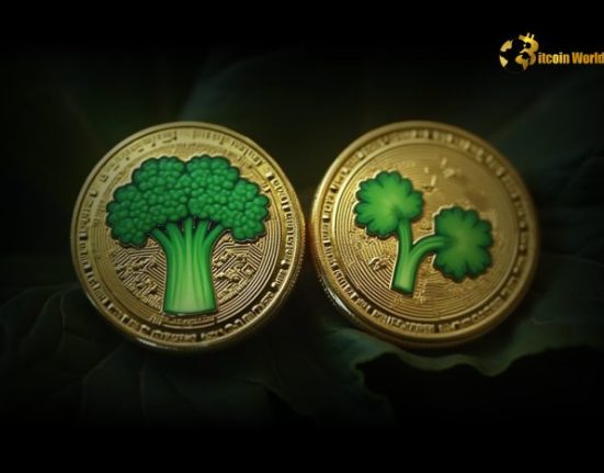 Unveiling BROCCOLI Token: Binance Alpha’s Exciting New Crypto Pick