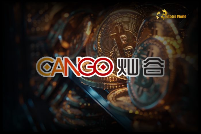 Unveiling Cango's February Bitcoin Mining Numbers: A Surprising 12% Dip?