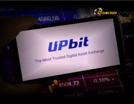 Unveiling Upbit’s Corporate Account Inquiry Channel A Bold Leap for South Korean Crypto