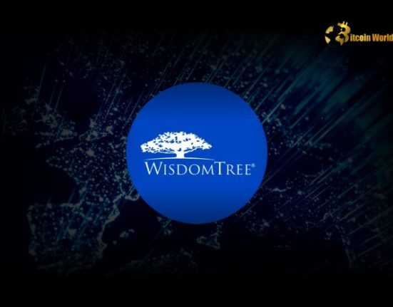 Unveiling WisdomTree Crypto ETP: A Smart Gateway to CoinDesk 20 Index