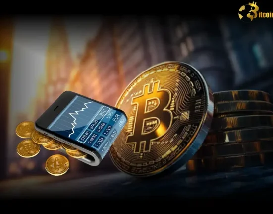 Unwavering Conviction: Long-Term Bitcoin Holders Stand Strong Amid Market Volatility