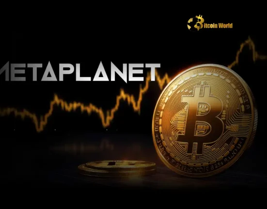 Unwavering Crypto Conviction Metaplanet CEO’s Bold Stance on Bitcoin Volatility