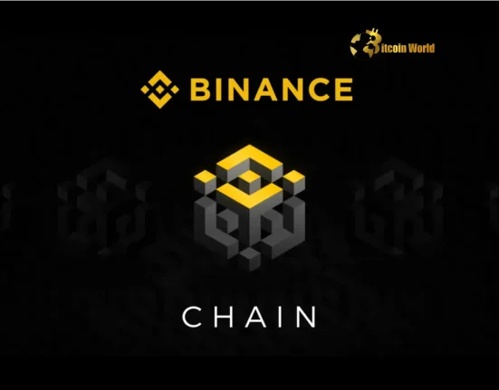 Urgent Alert: BNB Chain Faces Network Congestion - Discover a Reliable Solution