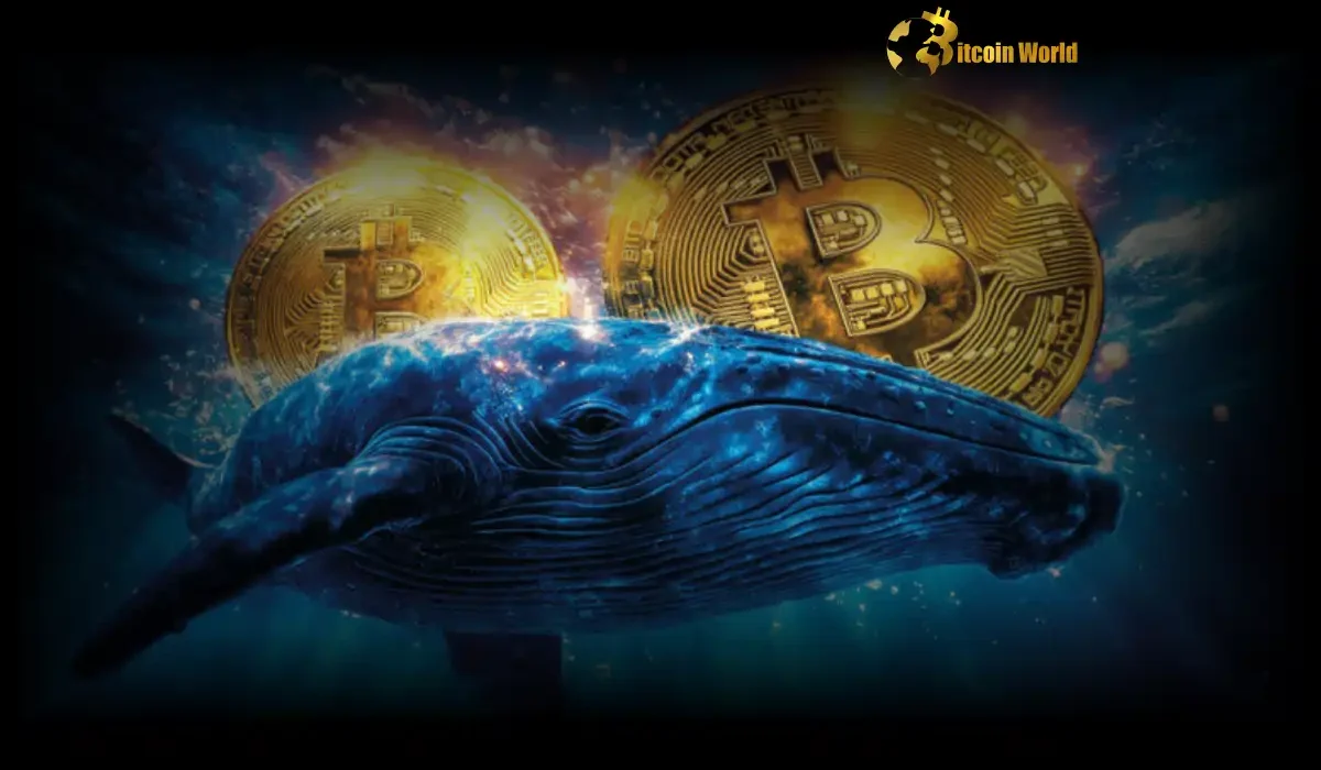 Urgent Alert: Bitcoin Whale's Colossal $213M Binance Withdrawal Sparks Market Speculation
