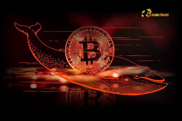 Urgent Alert: Bitcoin Whales' Shocking 6,813 BTC Dump Sends Market Reeling