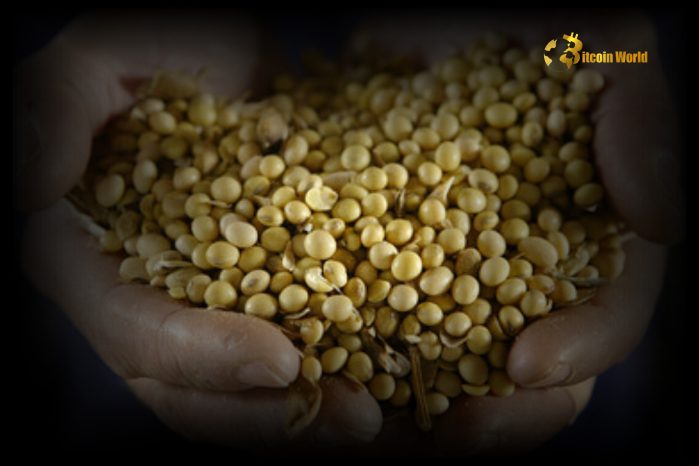 Urgent Alert China’s Shocking Ban on US Soybean & Lumber Imports – Trade War Escalation