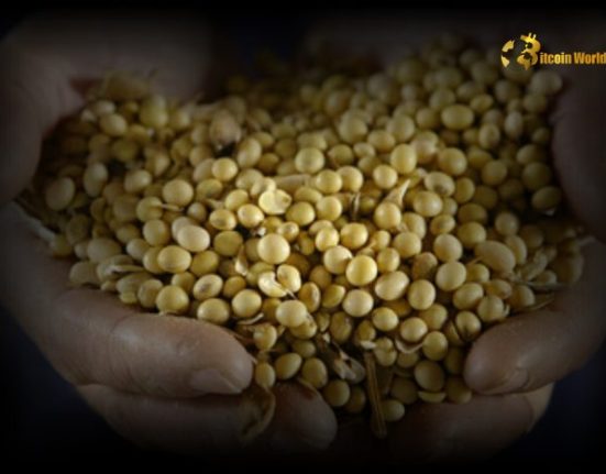 Urgent Alert China’s Shocking Ban on US Soybean & Lumber Imports – Trade War Escalation