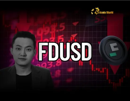 Urgent Alert Justin Sun Uncovers Shocking $500M FDUSD Embezzlement in Hong Kong