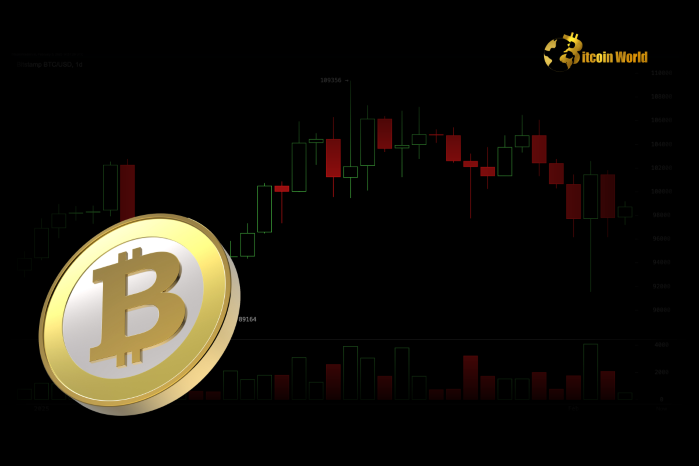 Urgent Bitcoin Price Analysis: Is a Market Bottom Finally Here?