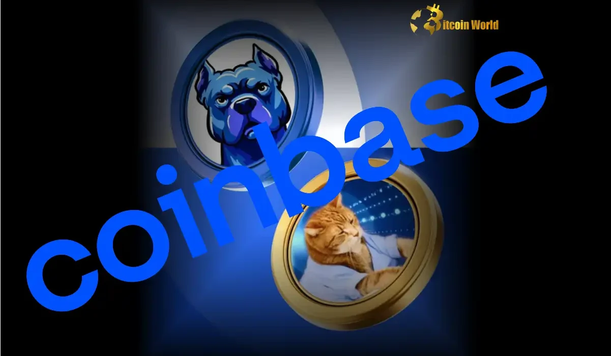 Urgent Crypto Alert: Coinbase Announces Surprise Listing of DOGINME and KEYCAT!