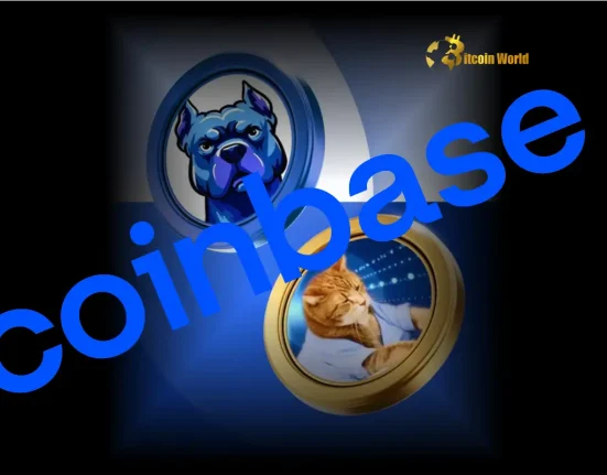 Urgent Crypto Alert: Coinbase Announces Surprise Listing of DOGINME and KEYCAT!