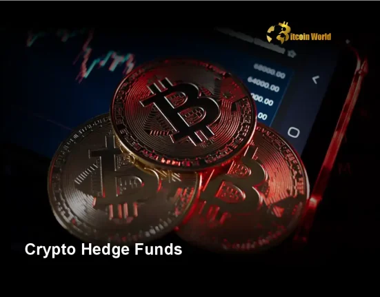 Urgent Crypto Opportunity: Why Smart Investors Are Piling Into Crypto Hedge Funds Now