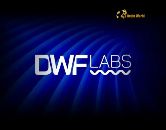 Urgent Crypto Warning DWF Labs Co-founder Flags Bear Market as Funding Rates Plunge