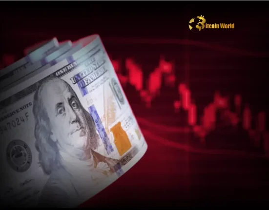 Urgent US Dollar Retreat Can the Rally Recover