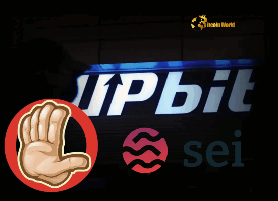 Urgent Upbit SEI Suspension Network Upgrade Impacts Deposits
