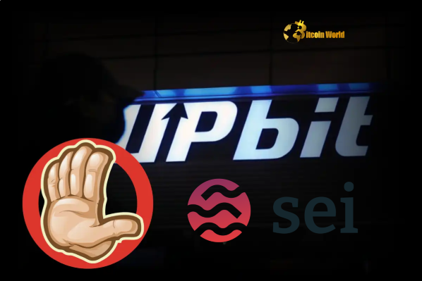 Urgent Upbit SEI Suspension Network Upgrade Impacts Deposits