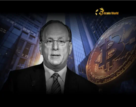 Urgent Warning BlackRock CEO Flags Bitcoin as Dollar Dominance Alternative