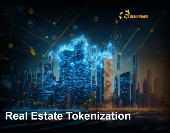 Urgent Warning Dubai Real Estate Tokenization Project Faces Promotion Scams