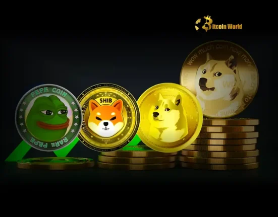 Urgent Warning: Memecoins Turn Crypto Market into Risky Global Casino