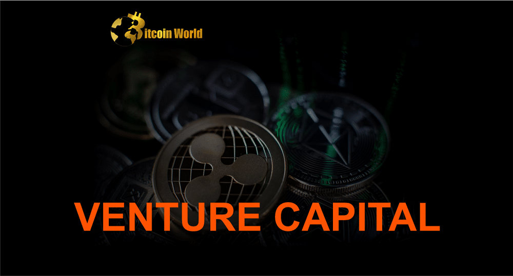Crypto VC Funding Was Resilient in the Bear Market. It’s Now Powering Through This Mini-Bull Cycle
