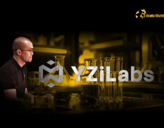 Visionary Crypto AI Investment: YZi Labs Backs Vana, CZ Joins as Advisor