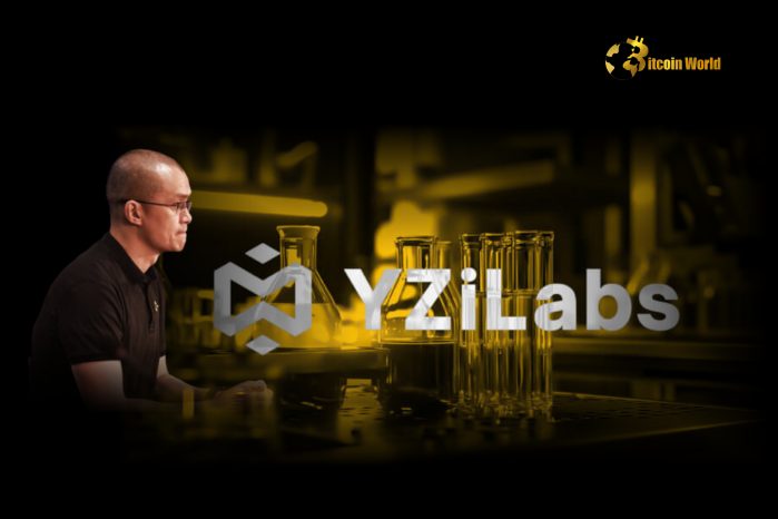 Visionary Crypto AI Investment: YZi Labs Backs Vana, CZ Joins as Advisor