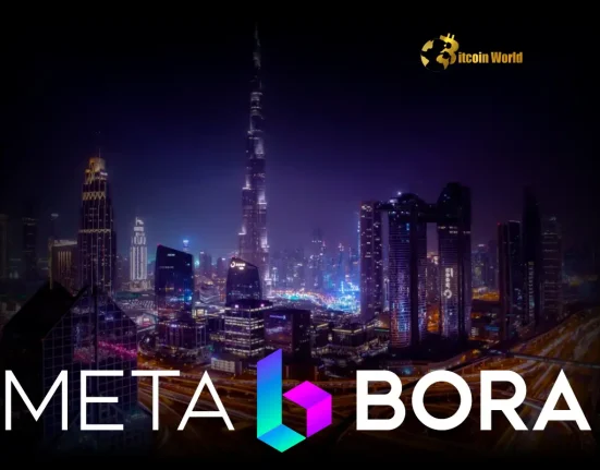 Visionary Move Metabora’s Crypto Gaming Shift to UAE Signals Strategic Growth
