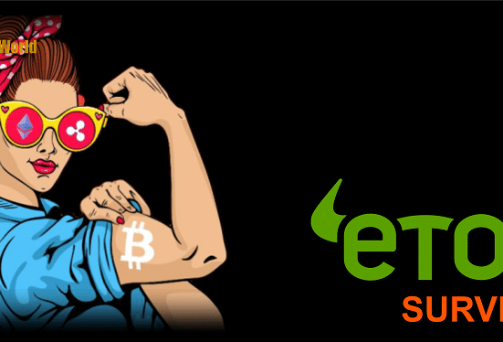 Crypto Becomes Second Most Widely-Owned Asset Class for Women: eToro Survey