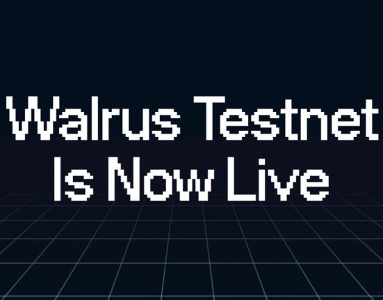 Walrus Testnet 1729144851krjDdejpZE