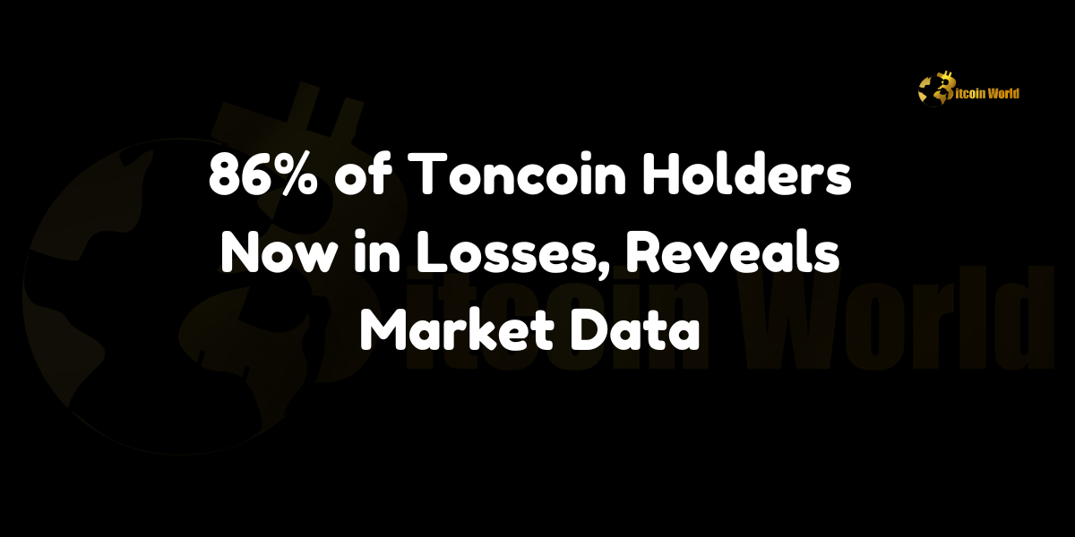 86% of Toncoin holders