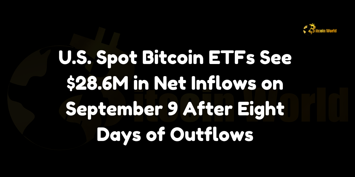 US spot Bitcoin ETF