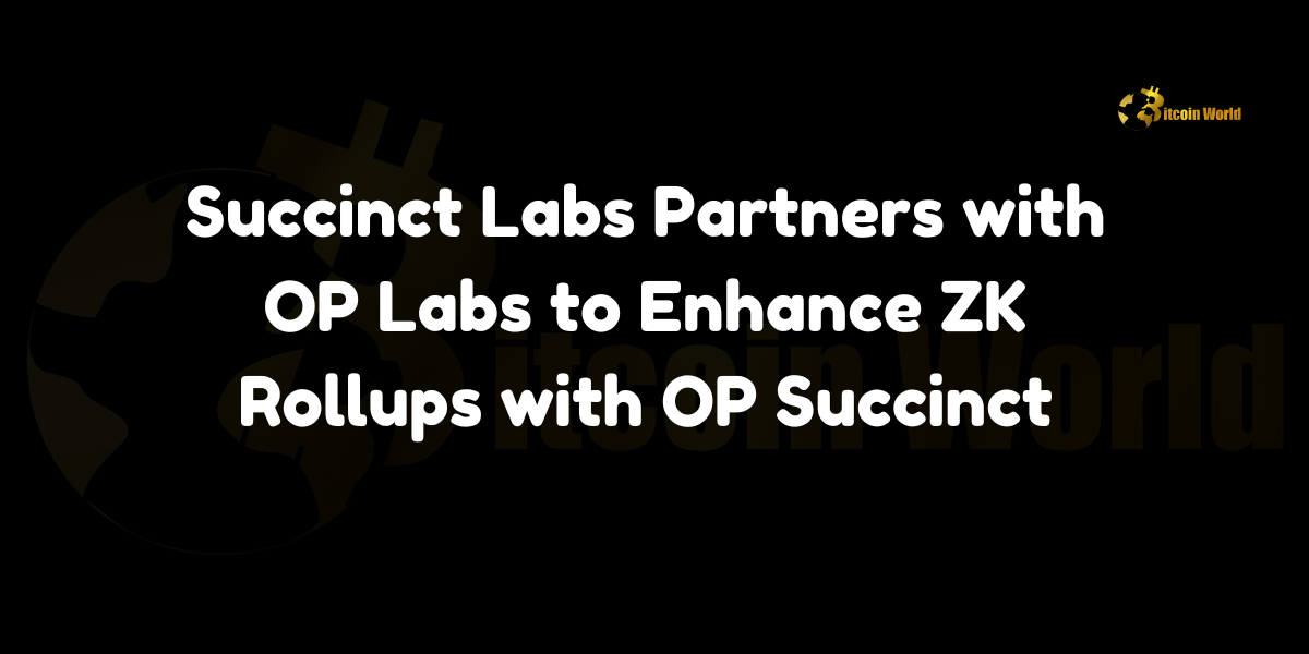 Succinct Labs