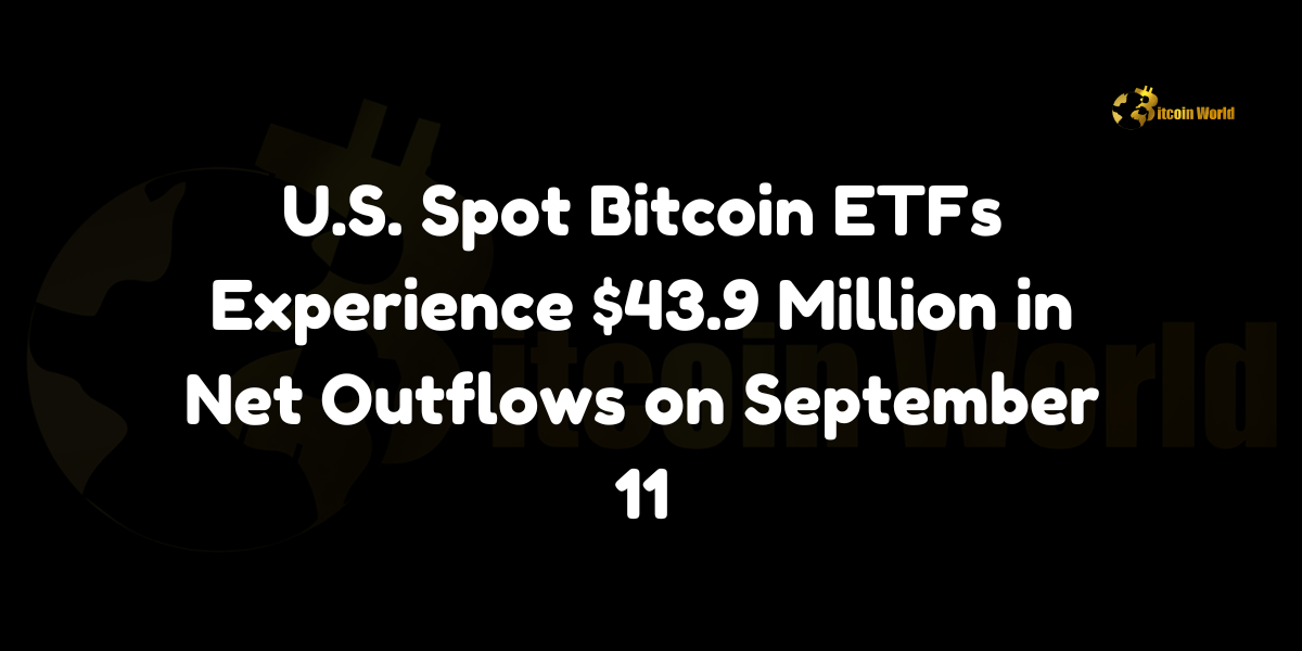 US Spot Bitcoin ETFs