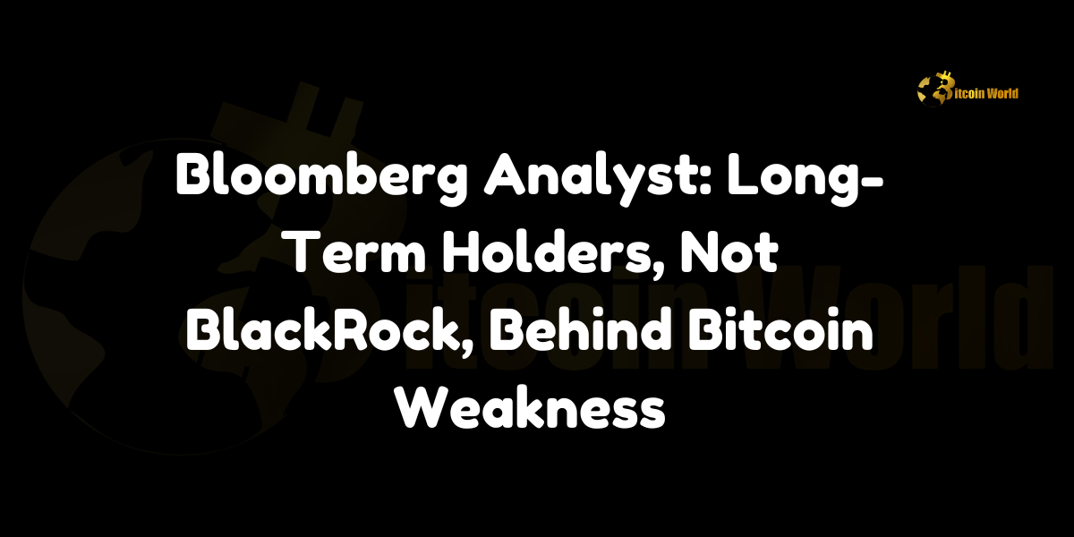 Bloomberg Analyst