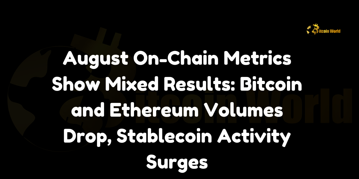 August On-Chain Metrics