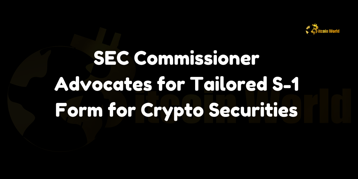 SEC Commissioner