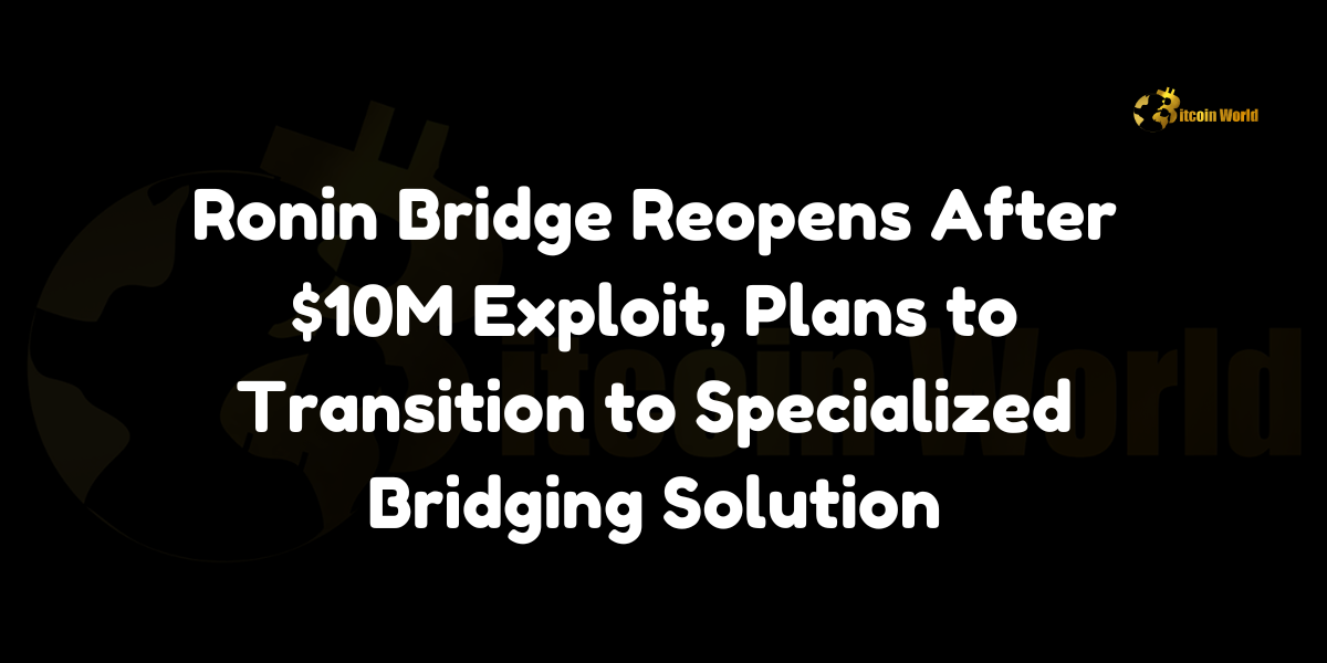 Ronin Bridge reopens