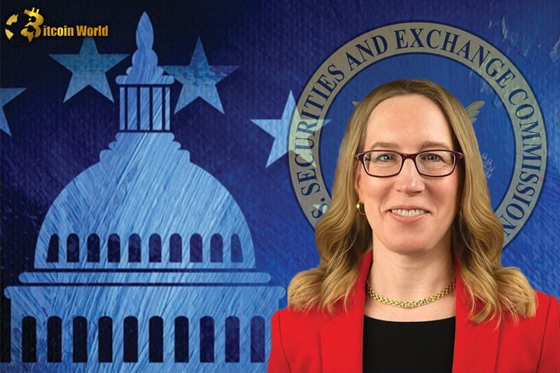 SEC embroiled in court cases; Hester Peirce says crypto firms shouldn’t give up on US