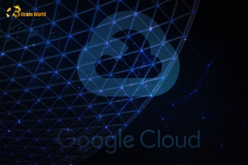 A validator on the Polygon network is currently Google Cloud.