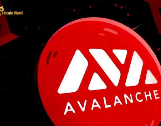 Friend.tech clone Stars Arena drives surge of activity on Avalanche