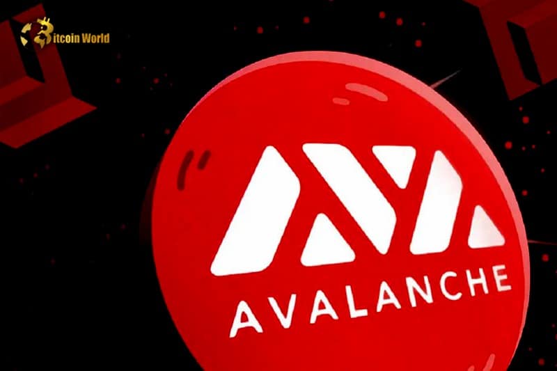 Friend.tech clone Stars Arena drives surge of activity on Avalanche
